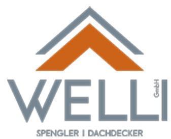 Logo Welli GmbH