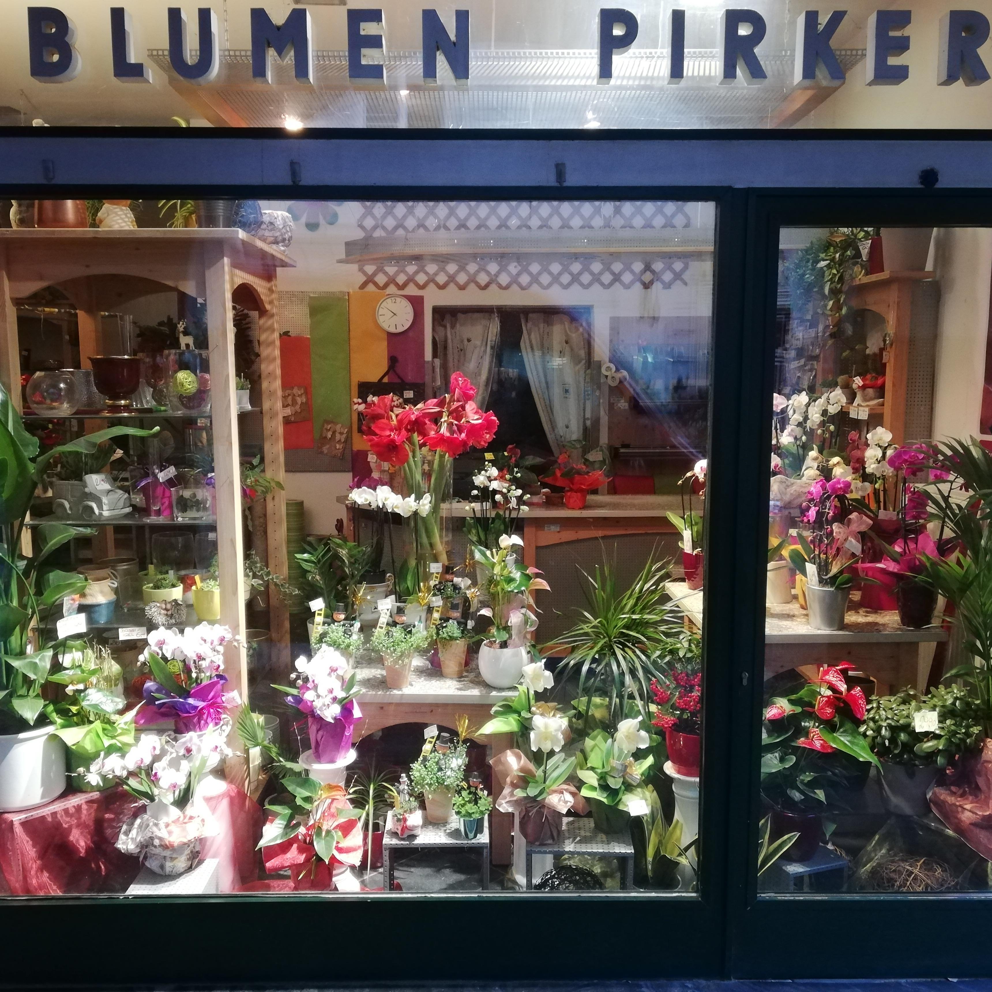 Logo Blumen Pirker