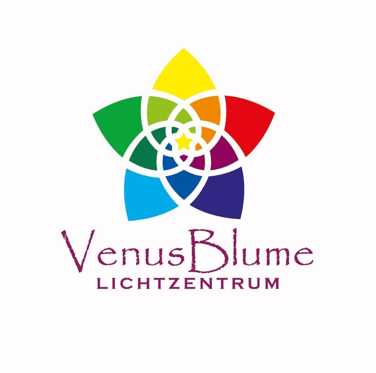 Vorschau - Foto 1 von Venusblume Lichtzentrum - Melinda Hebenstreit