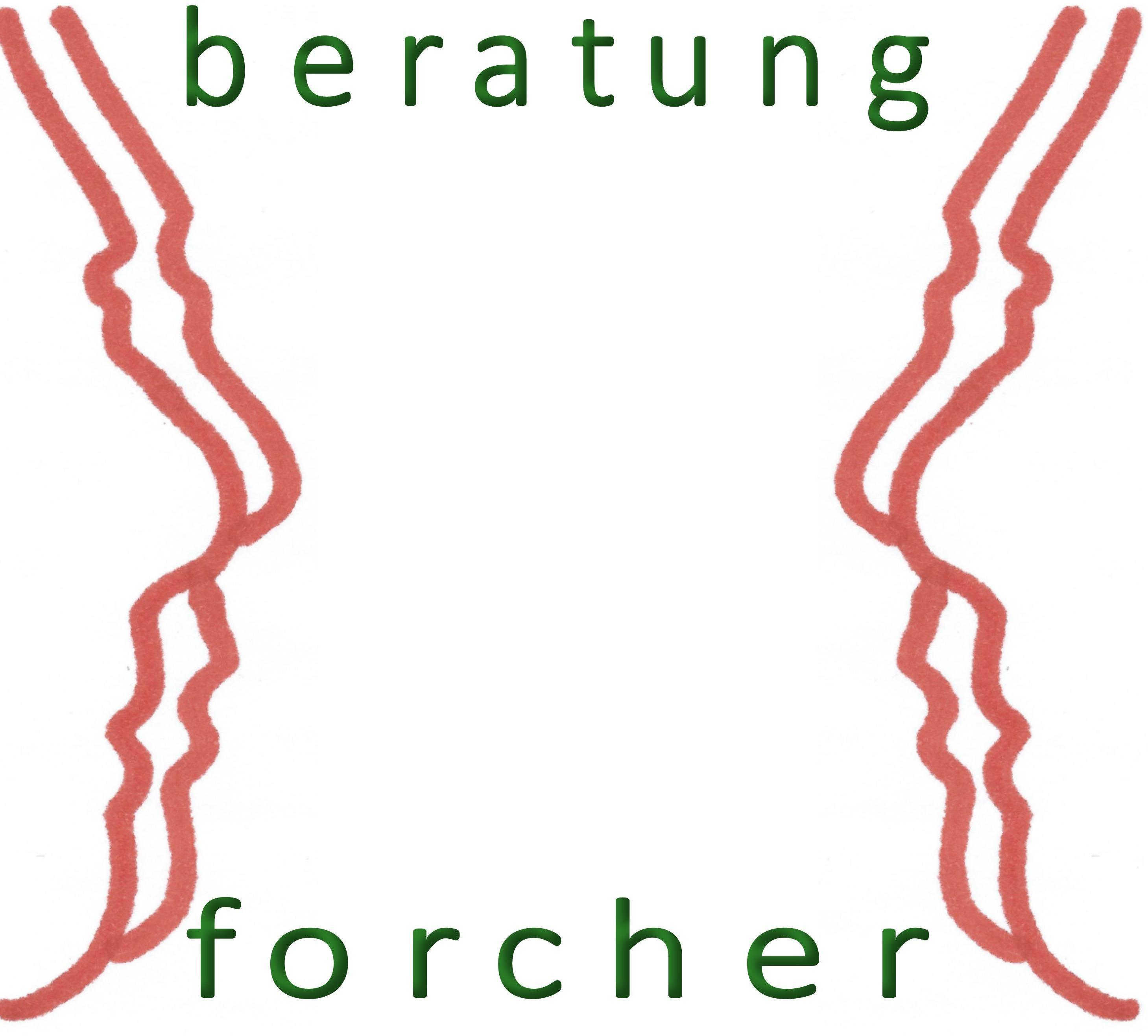 Logo beratungforcher MMag. Gerd Forcher MSc