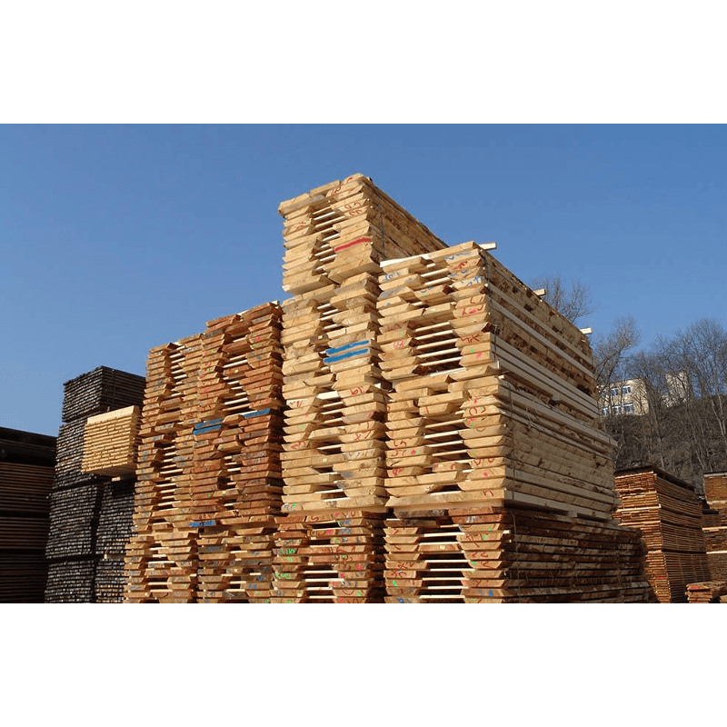 Produktbild von Forst- & Holzwirtschaft
