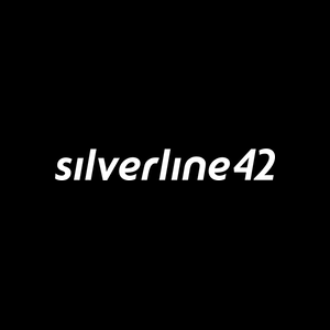 Logo silverline42 gmbh