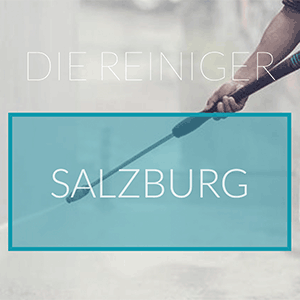 Logo Die Reiniger Salzburg
