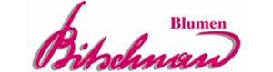 Logo Stefan Bitschnau