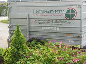 Logo Hintermaier Peter - Ihr Ansprechpartner in Sachen Holz