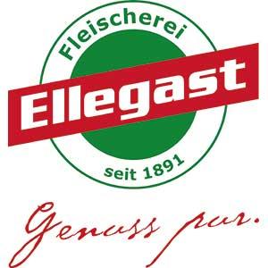 Logo Ellegast GesmbH
