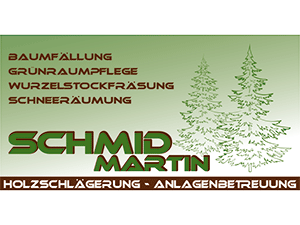 Logo Baumfällung und Anlagenbetreuung Martin Schmid