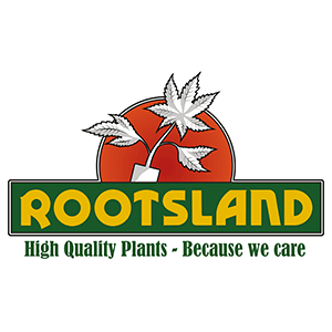 Logo Rootsland KG