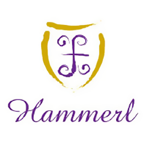 Logo Mag. Werner Hammerl österreichischer und deutscher Rechtsanwalt