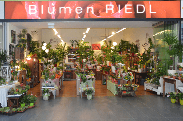 Vorschau - Foto 1 von Blumen Riedl - Blumen, Floristik & Vinothek