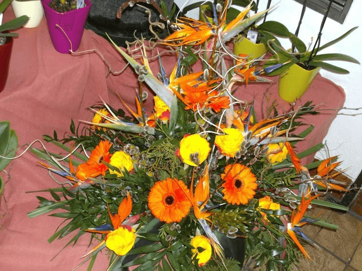 Vorschau - Foto 2 von Blumen Richter