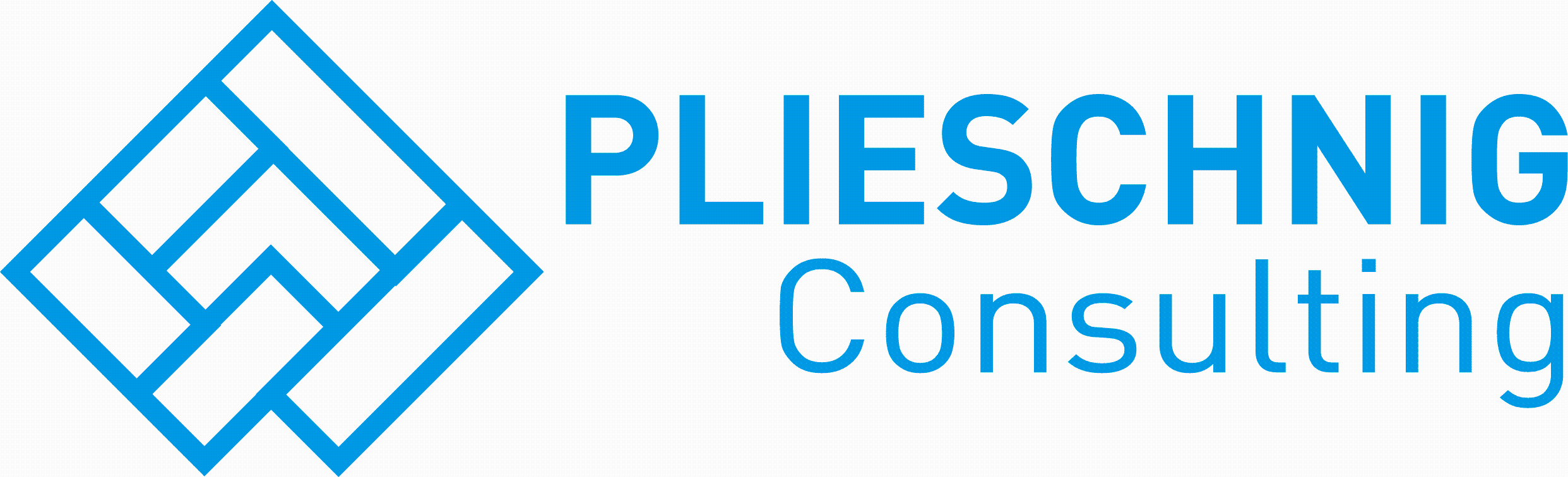 Logo Plieschnig Consulting