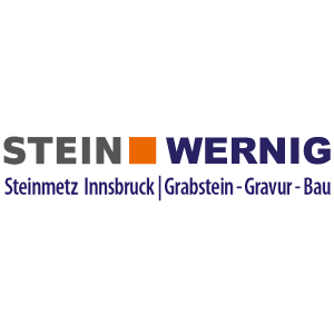 Logo STEIN WERNIG