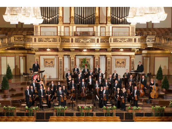 Vorschau - Foto 1 von Wiener Johann Strauss Orchester