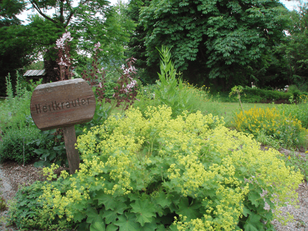 Vorschau - Foto 1 von Kräutergarten