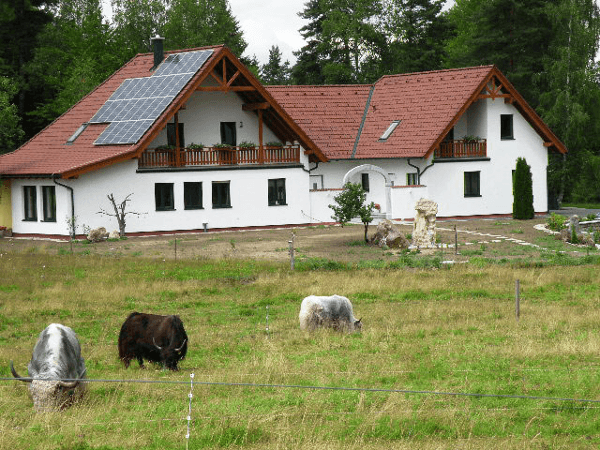 Vorschau - Foto 1 von Ferienwohnung Yak und Alpacahof