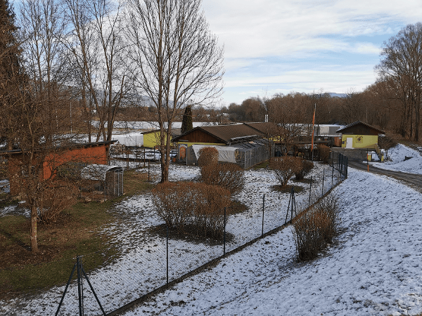 Vorschau - Foto 1 von Tierheim Kapfenberg