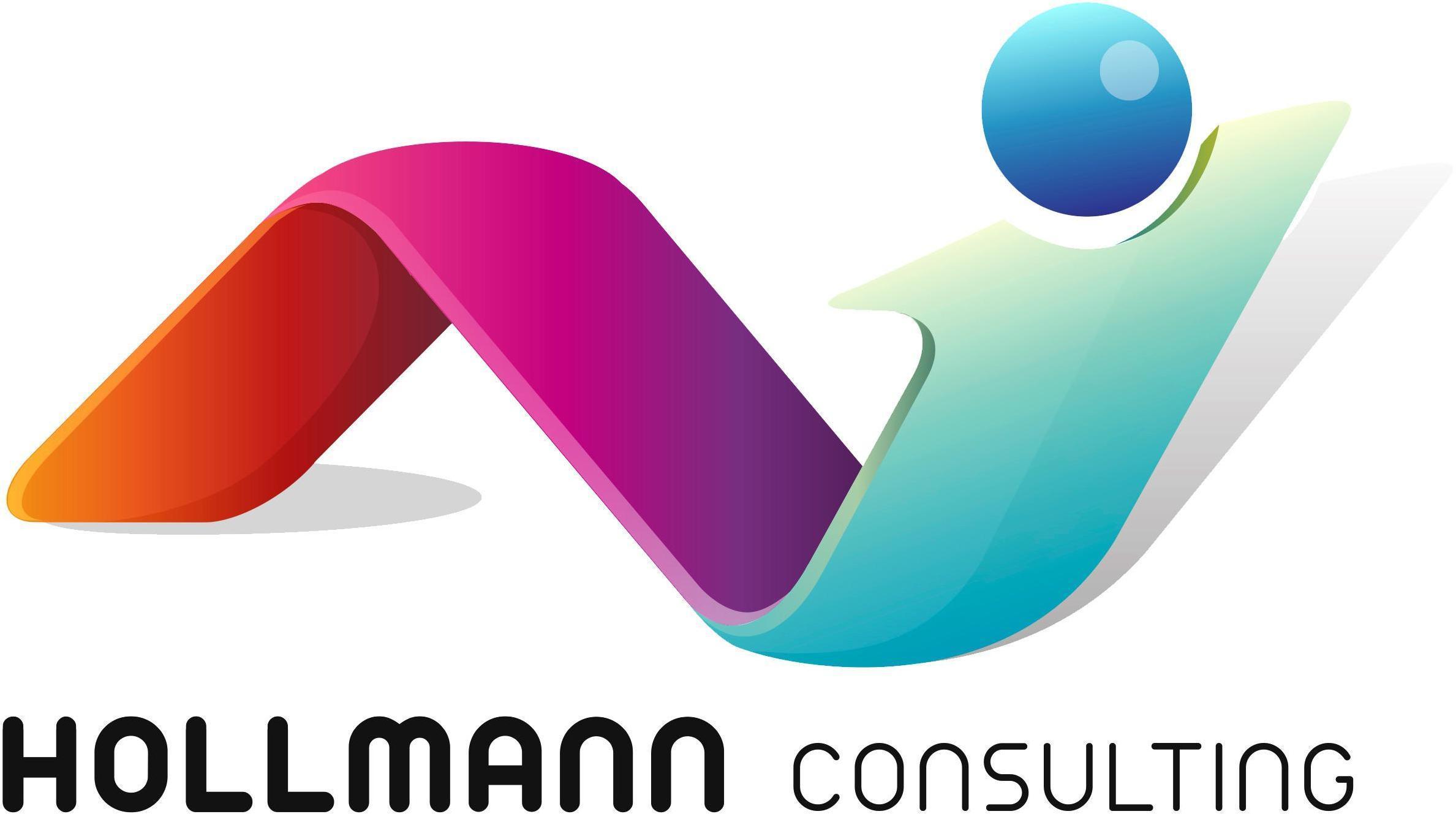 Logo Ai1  Hollmann  Consulting - Rudolf Hollmann, MSc MBA