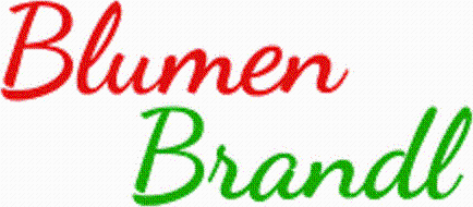 Logo Blumen Brandl