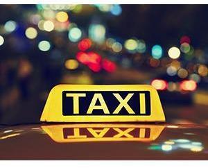 Logo Taxi u Personentransporte Lenardin