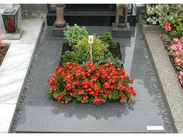 Vorschau - Foto 1 von Blumen Provasnek Friedhofsgärtnerei