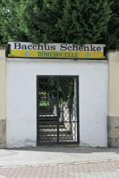 Vorschau - Foto 1 von Bacchus Schenke Fam. Scheibenreif