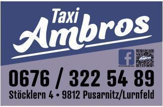Logo Taxi Ambros