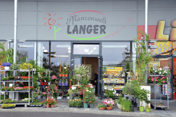 Vorschau - Foto 1 von Blumen Langer