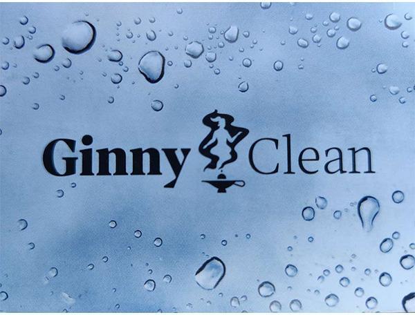 Logo Ginny Clean e.U.
