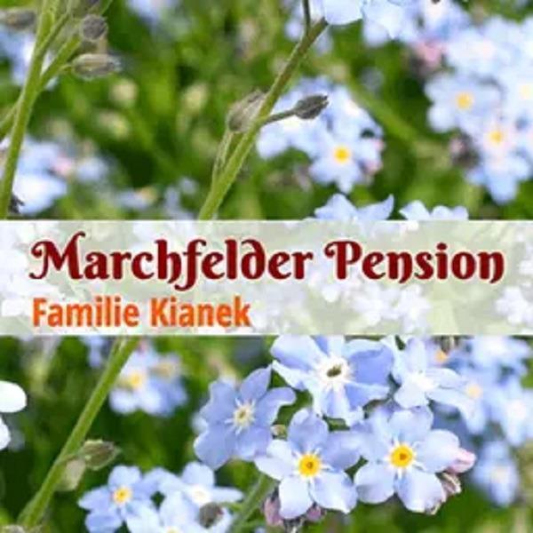 Logo Marchfelder Pension - Familie Kianek