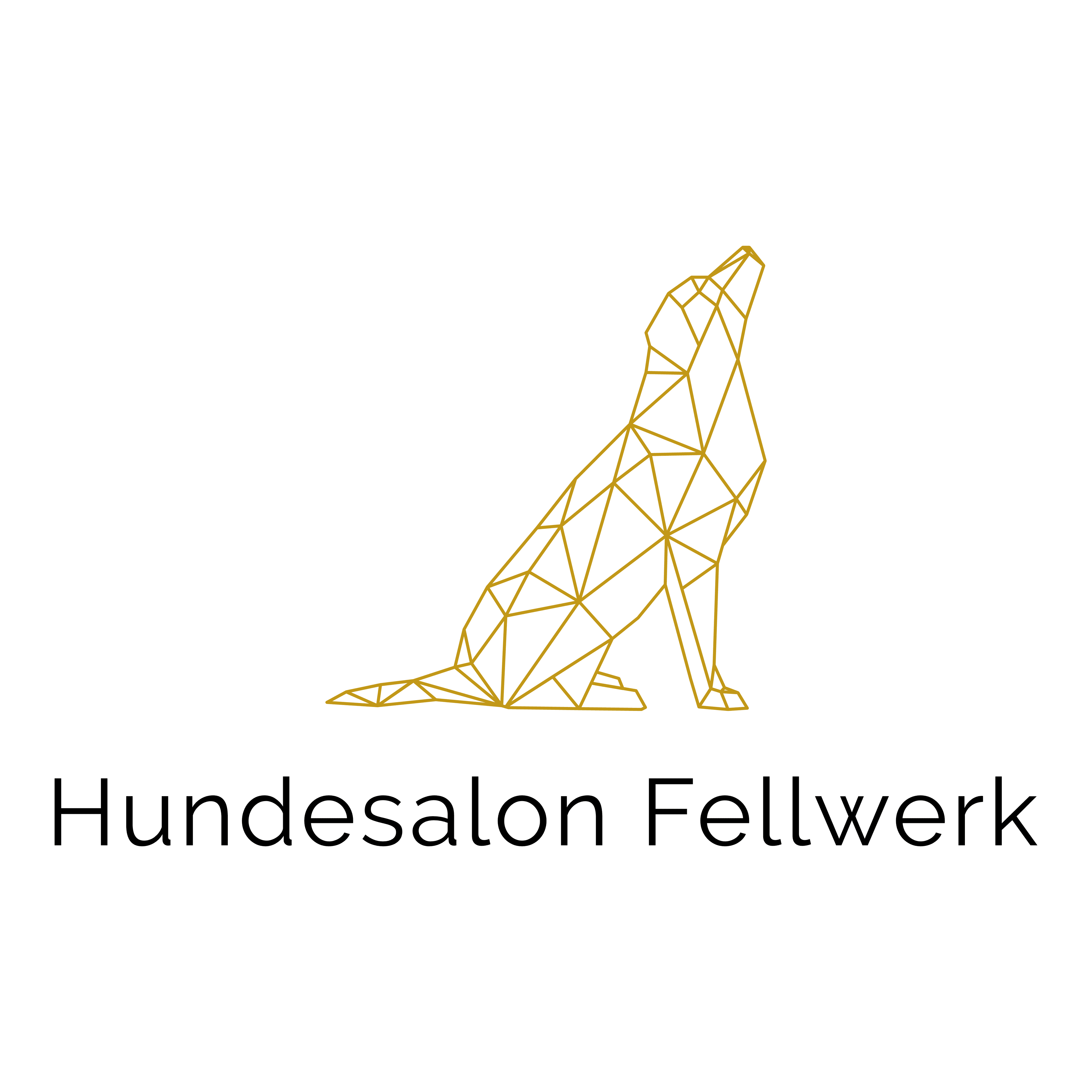 Logo Hundesalon Fellwerk
