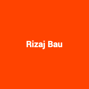 Logo Isuf Rizaj Bau Gesellschaft mbH