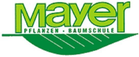 Logo Mayer GmbH Pflanzen - Baumschule