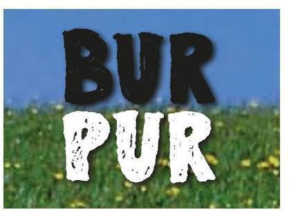 Logo Bur Pur