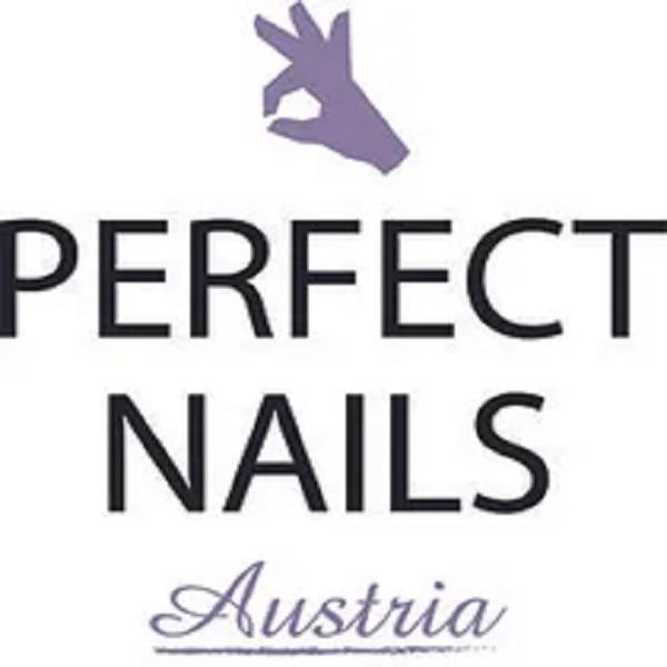 Logo Diana Silingi - Perfect Nails Austria Nageldesign Großhandel & International Nail School
