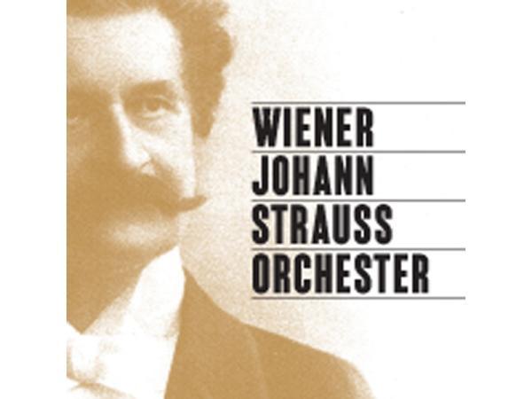 Vorschau - Foto 2 von Wiener Johann Strauss Orchester