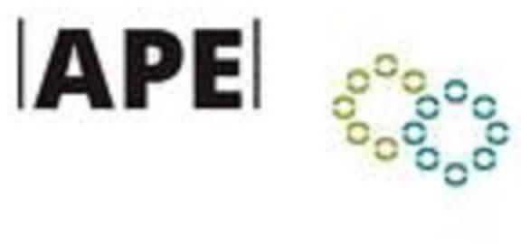 Logo APE Reinigung GmbH & Co KG
