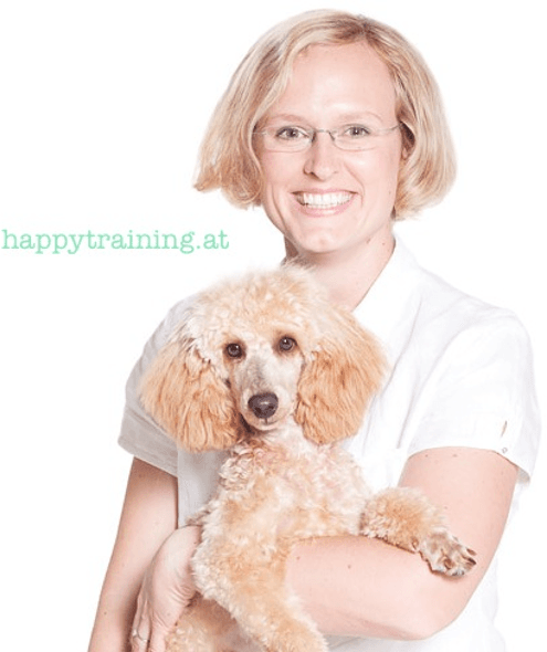Vorschau - Foto 1 von Happy Training Tiertraining!