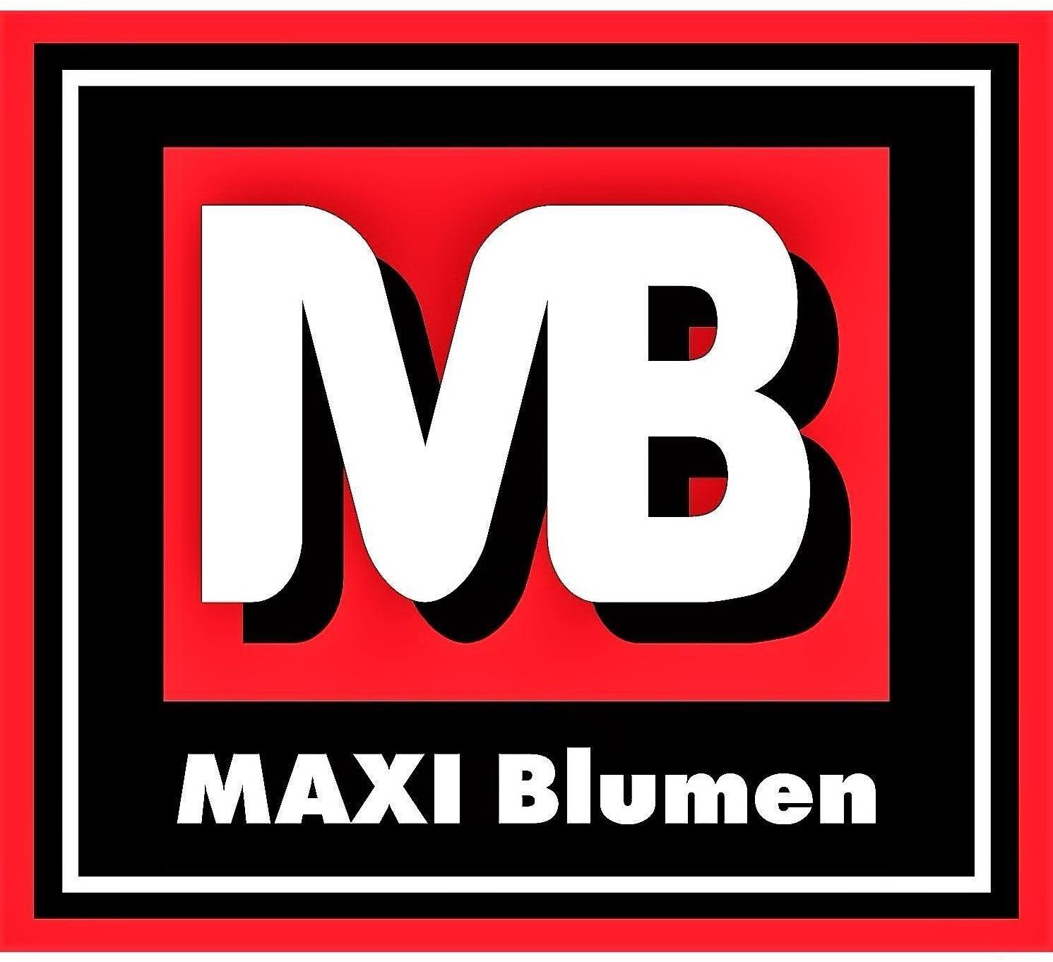 Logo MAXI Blumen