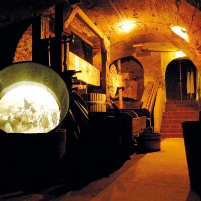 Vorschau - Foto 1 von LOISIUM Weinwelt