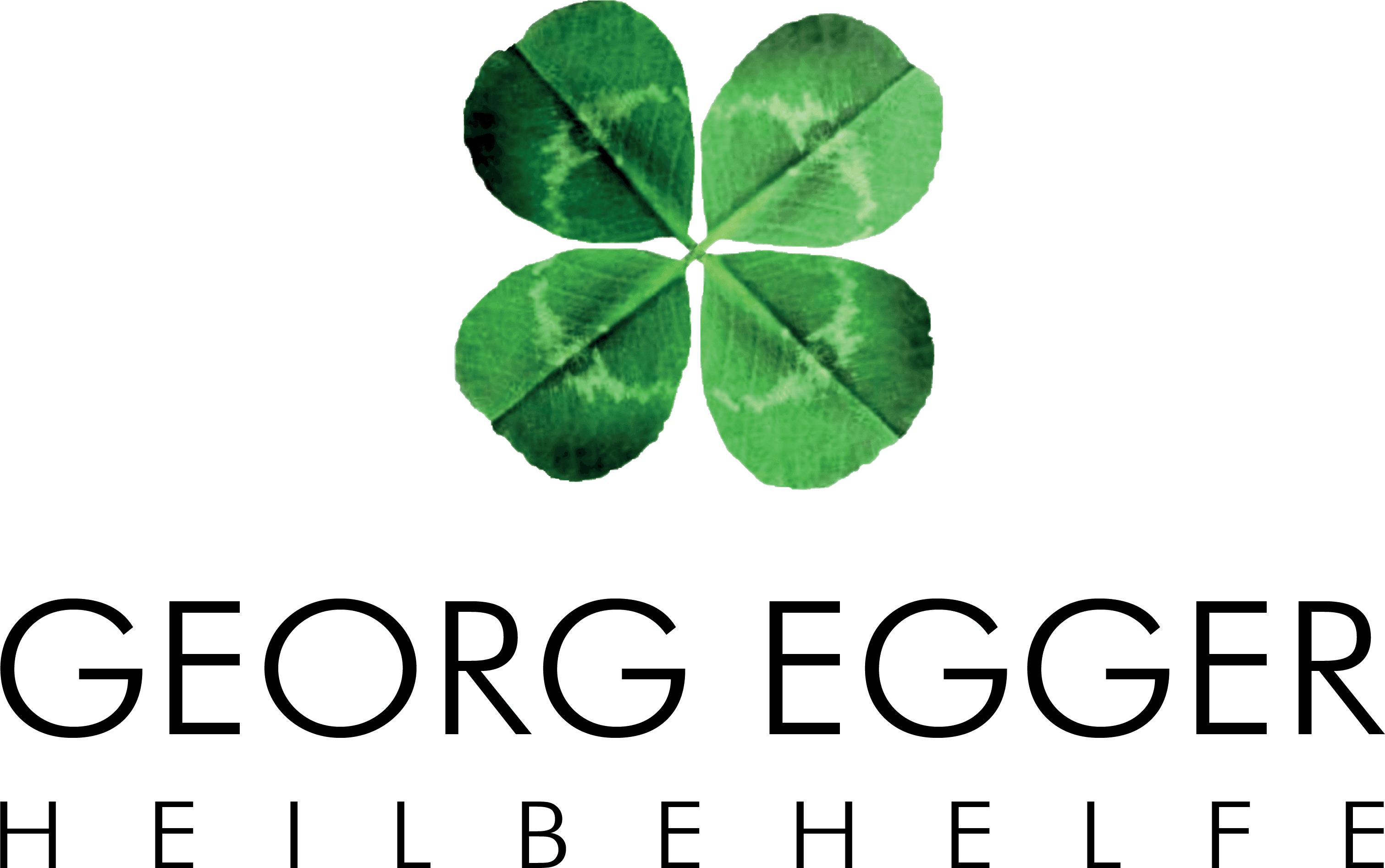 Logo Georg Egger & Co GesmbH