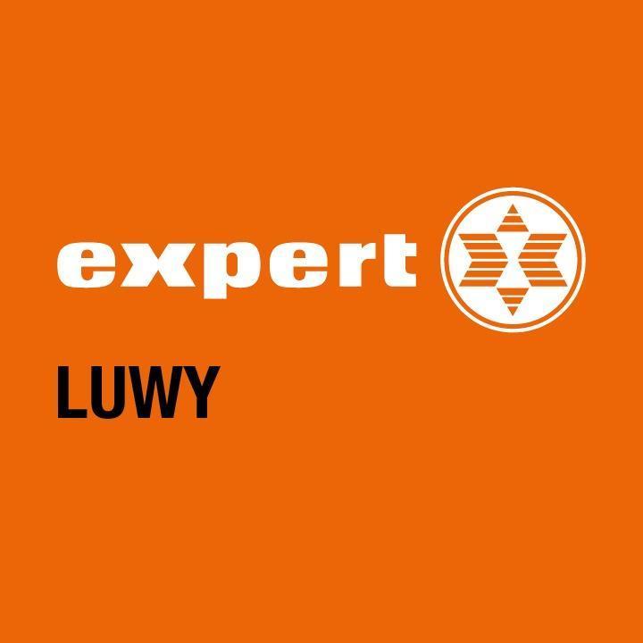 Logo Expert Luwy