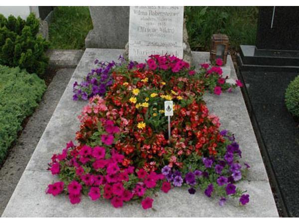 Vorschau - Foto 2 von Blumen Provasnek Friedhofsgärtnerei