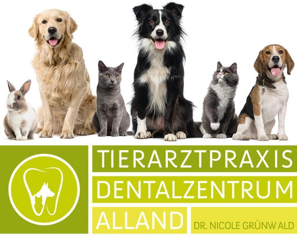 Logo Tierarztpraxis u. Dentalzentrum Alland Dr Nicole Grünwald