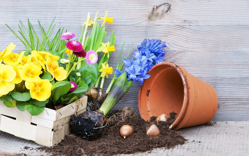 Checkliste Garten