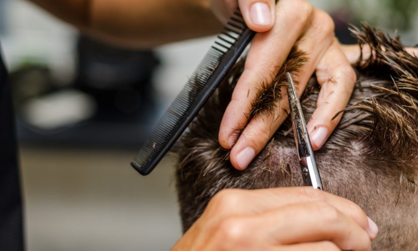 Haartransplantation Wien, Methode, Haare