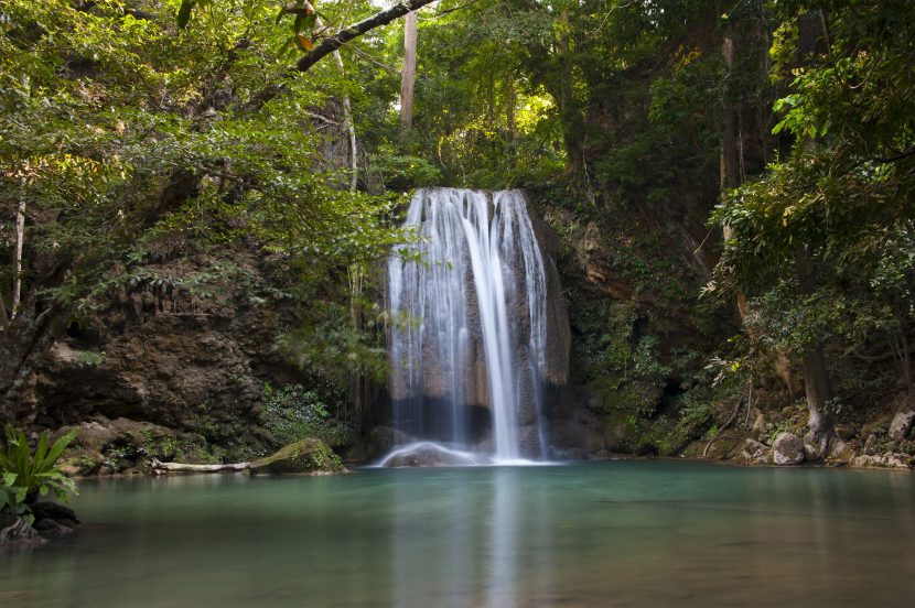 Eine Regenwalddusche im tropischen Regenwald