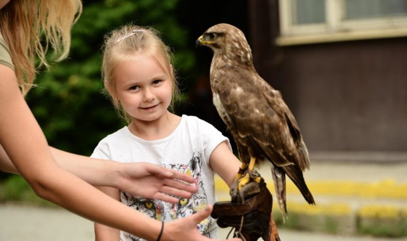 Wandern mit Kindern, Niederösterreich, Wien, Urlaub, Natur erleben