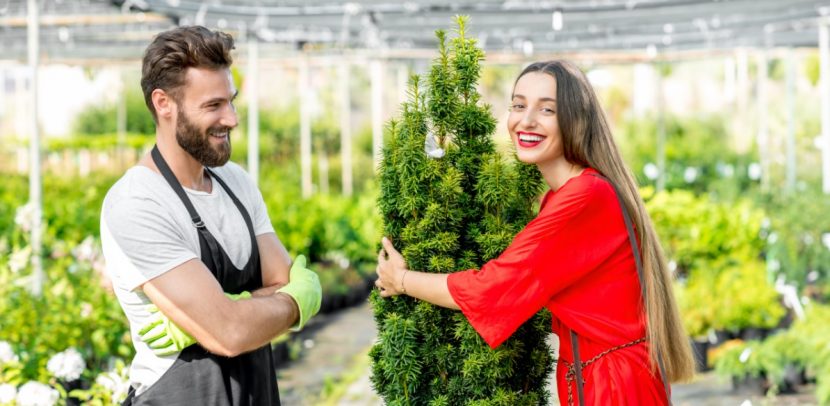 Junge Frau, die im Beisein eines gutaussehenden jungen Gärtners eine Platane umarmt. Was kostet die professionelle Gartengestaltung?