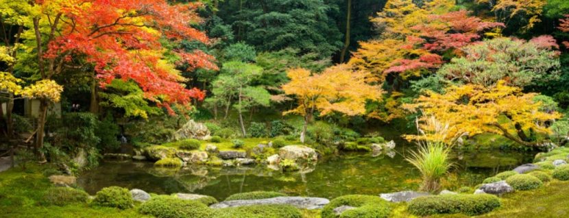Feng Shui Garten gestalten